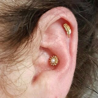 conch & helix