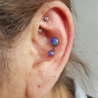 rook & conch