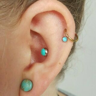 conch, double helix & stretched lobe