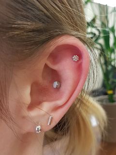conch & helix