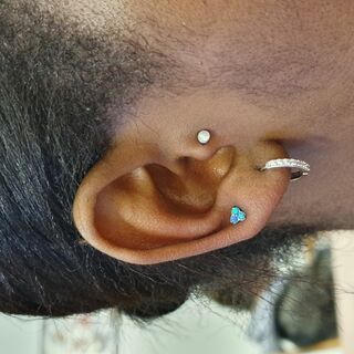tragus & upper lobe