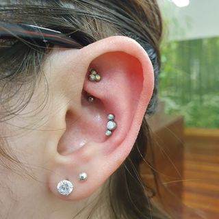 rook & conch