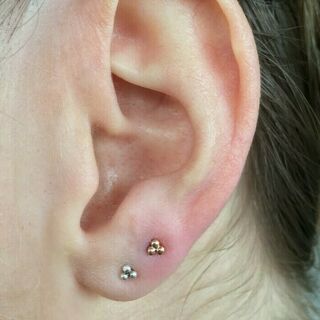 Double Lobe.