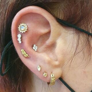 Multiple helix, conch & upper lobes