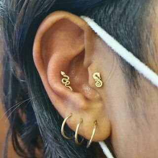 Conch & tragus