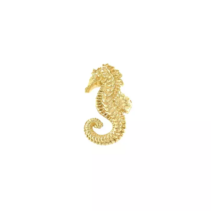 Seahorse Feature