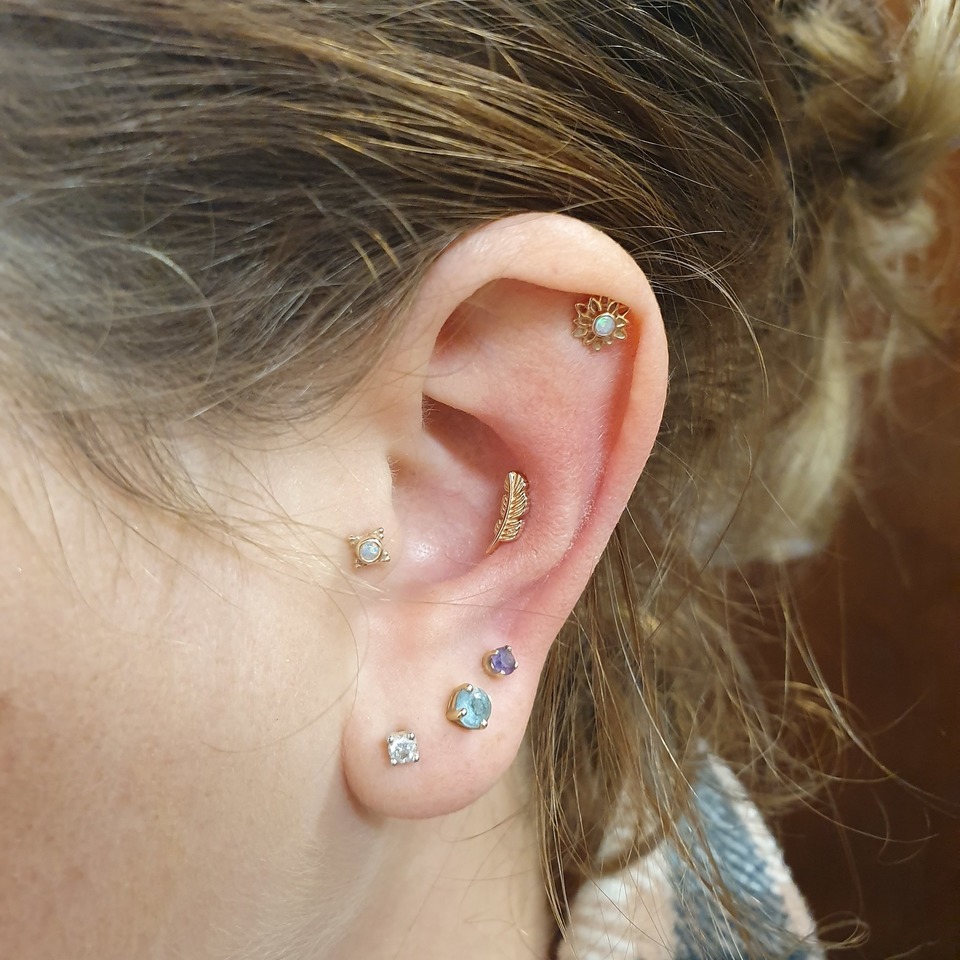 conch, helix & tragus