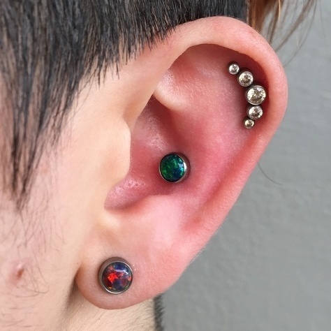 Helix, Conch + Lobe Curated Ear.