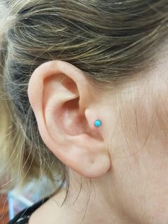 16 gauge tragus