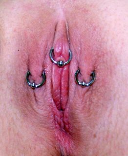 12gauge horizontal & vertical hood & labia majora