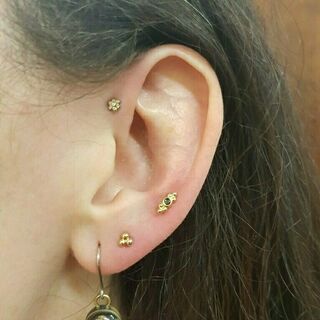 forward helix & lobes