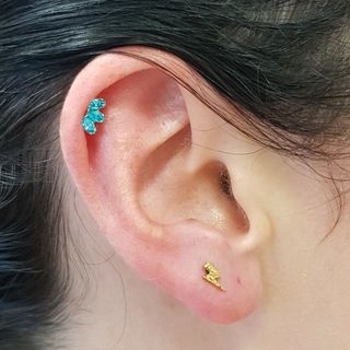 helix & lobe