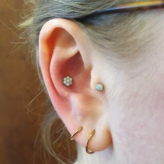 Conch + Tragus Curated Ear
