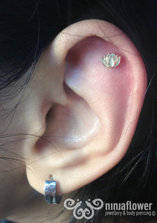16 gauge helix