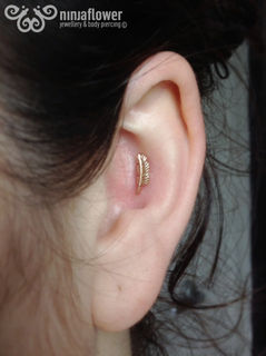 14 gauge conch