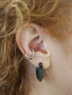 12 gauge conch