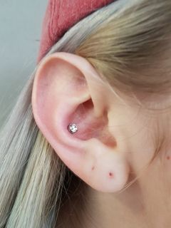 12 gauge conch
