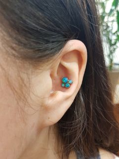 12 gauge conch