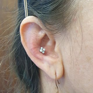 14 gauge conch