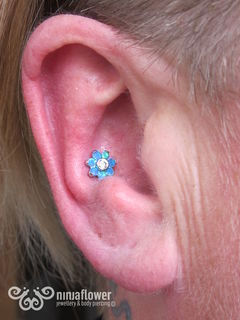 12 gauge conch