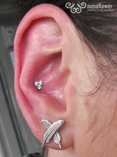 12 gauge conch
