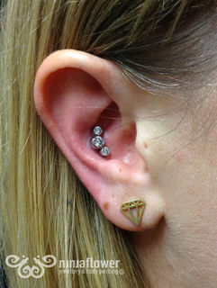 12 gauge conch