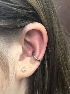 12 gauge conch