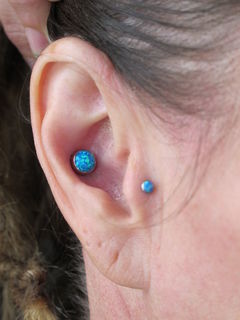 12 gauge conch