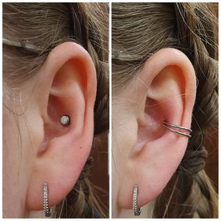 12 gauge conch