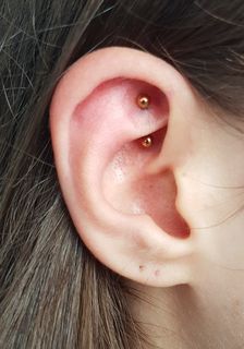 16 guage rook