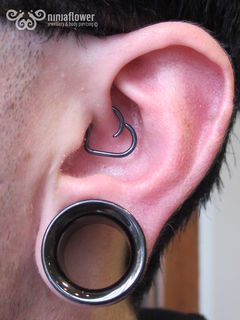 14 gauge daith