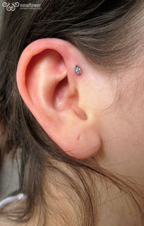16 gauge forward helix
