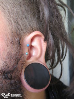16 gauge forward helix