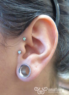 16 gauge forward helix
