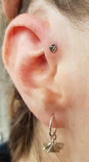 16 gauge forward helix