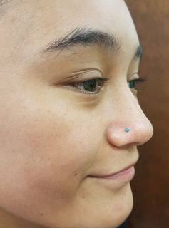 18 gauge nostril