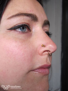 18 gauge double nostril