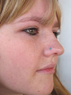 18 gauge nostril