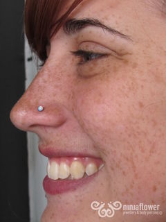 18 gauge nostril