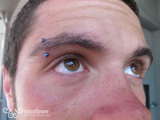16 gauge eyebrow