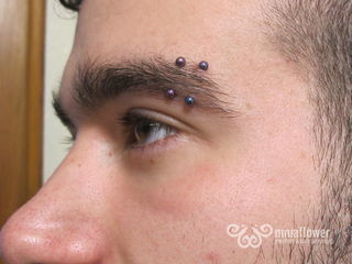 16 gauge double eyebrow