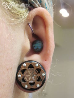 0gauge initial conch
