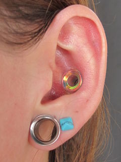 0gauge initial conch