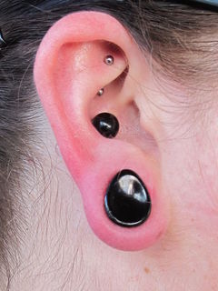 2gauge initial conch