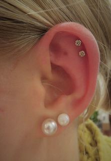 16 gauge double helix
