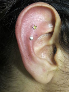 16 gauge double helix