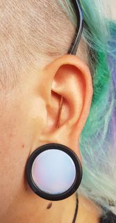 12 gauge conch to conch