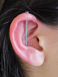 12 gauge helix to conch
