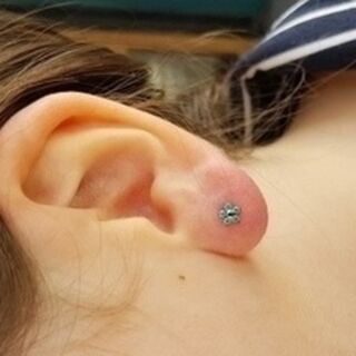 16gauge lobe