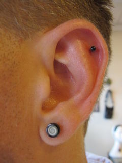8 gauge lobe